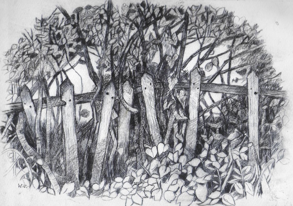 Garden Fence