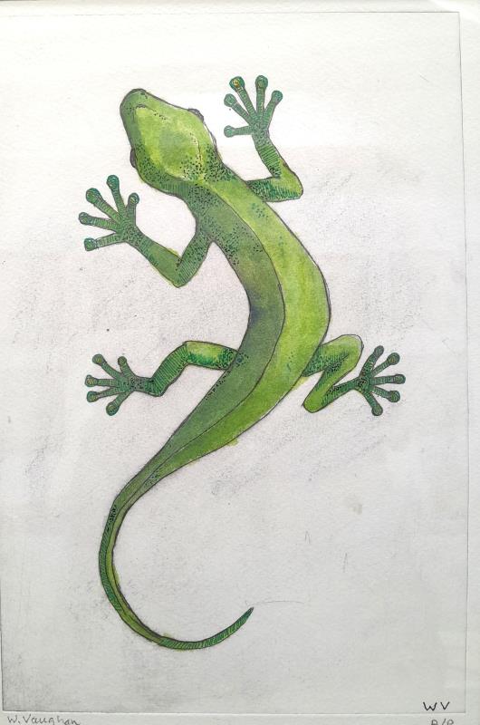 Gecko