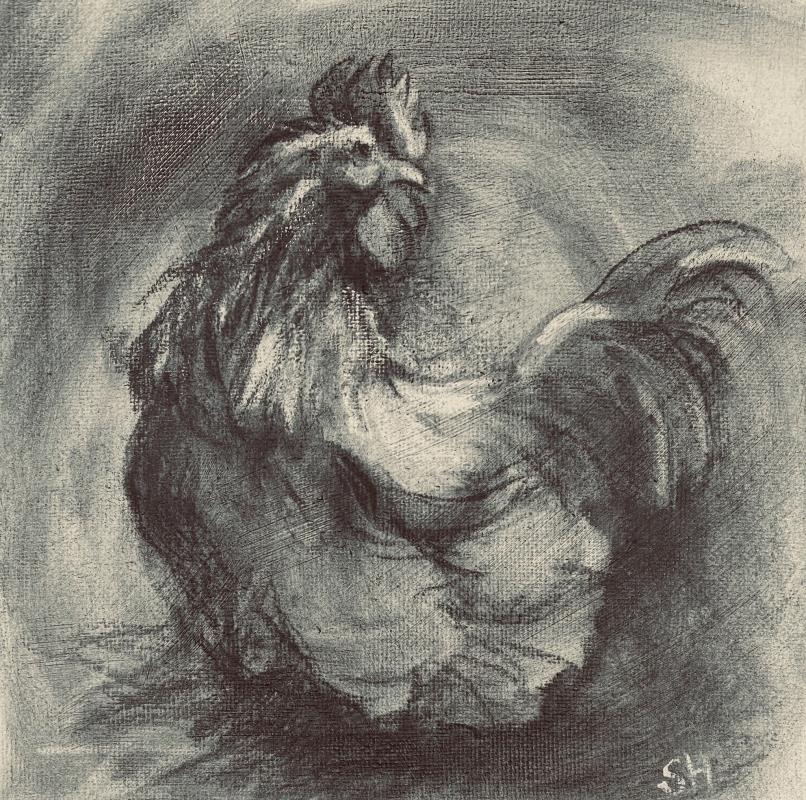 Pekin Cockerel