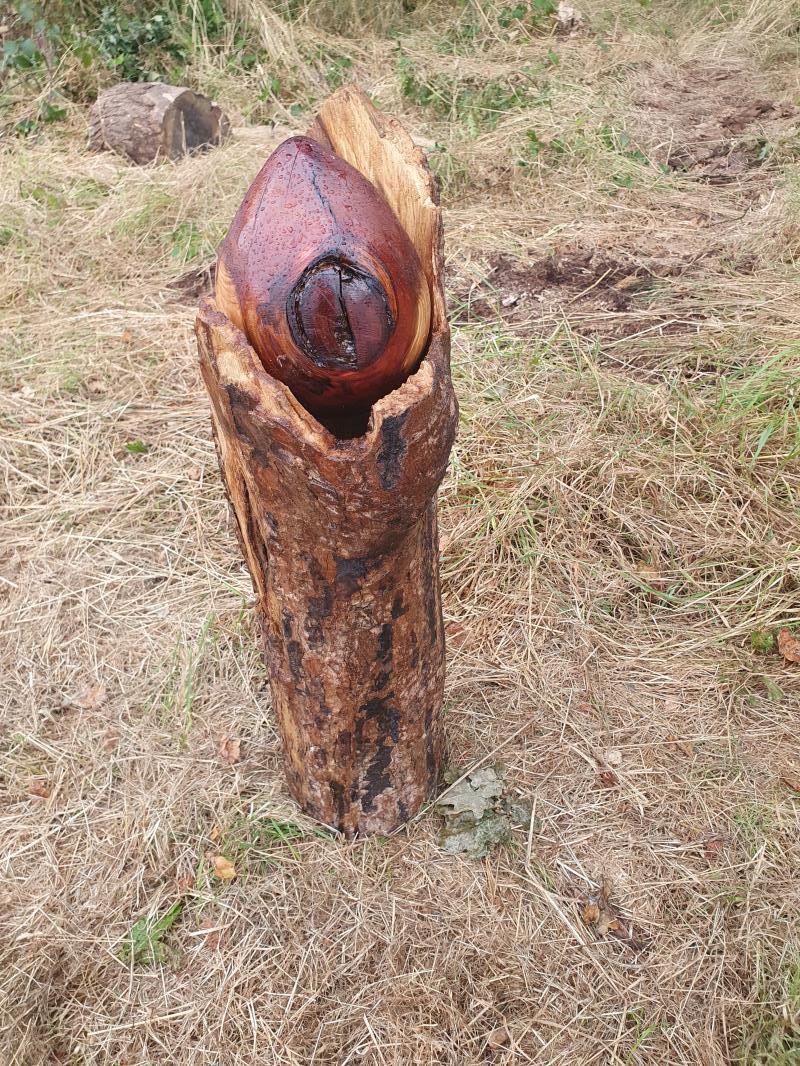 Heart of the Forest No. 2