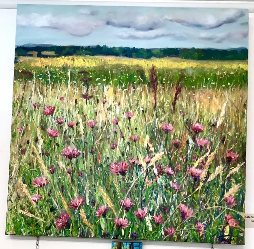 Late Summer Meadow