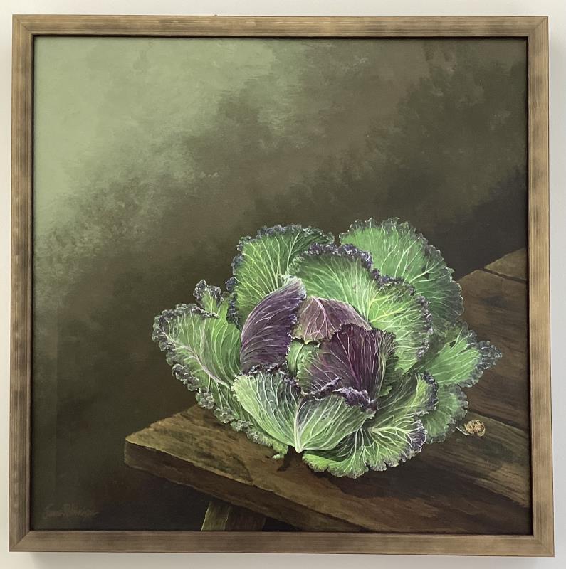Cabbage and snail