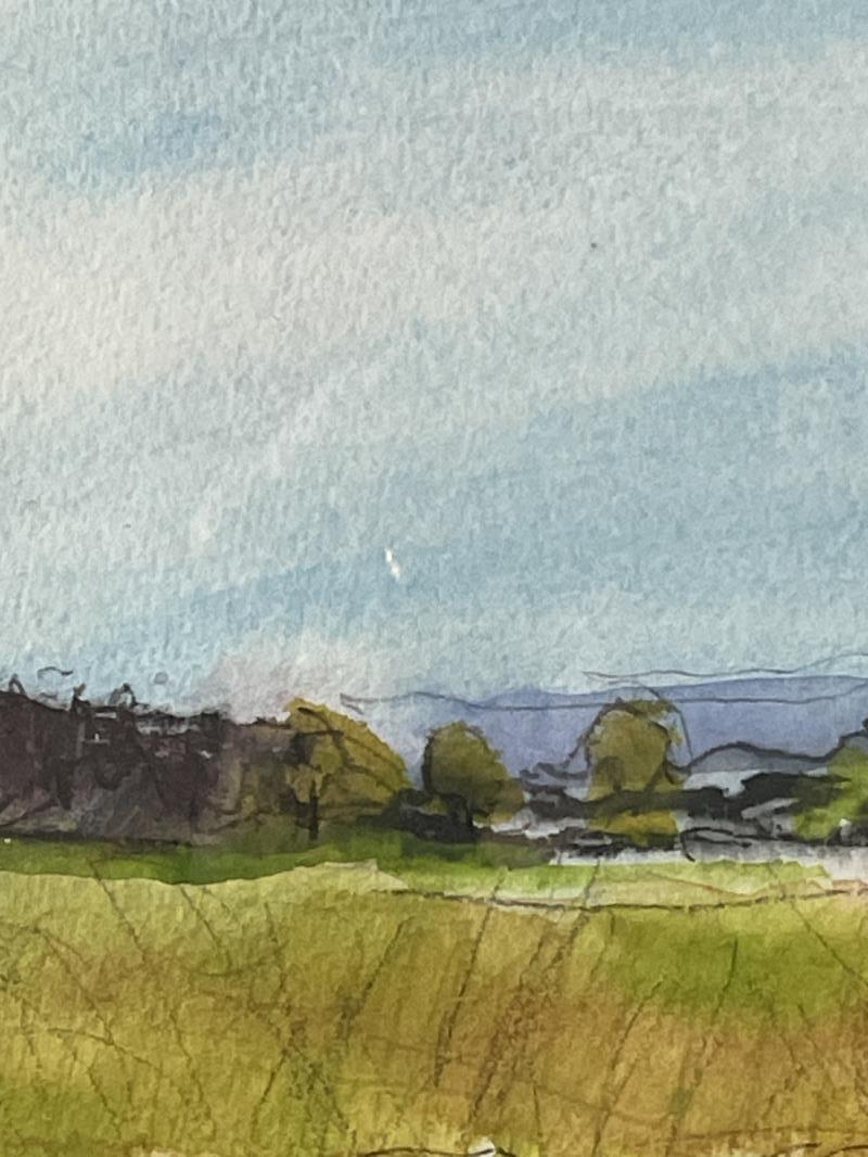 Minchinhampton Common, Gloucestershire 