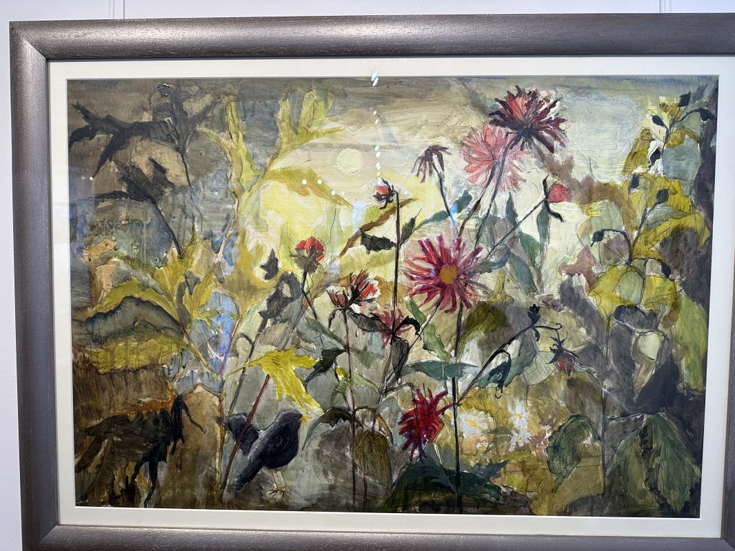 Blackbird in the dahlias 