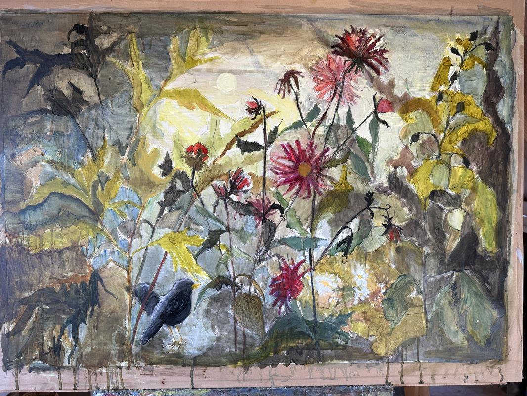 Blackbird in the dahlias 