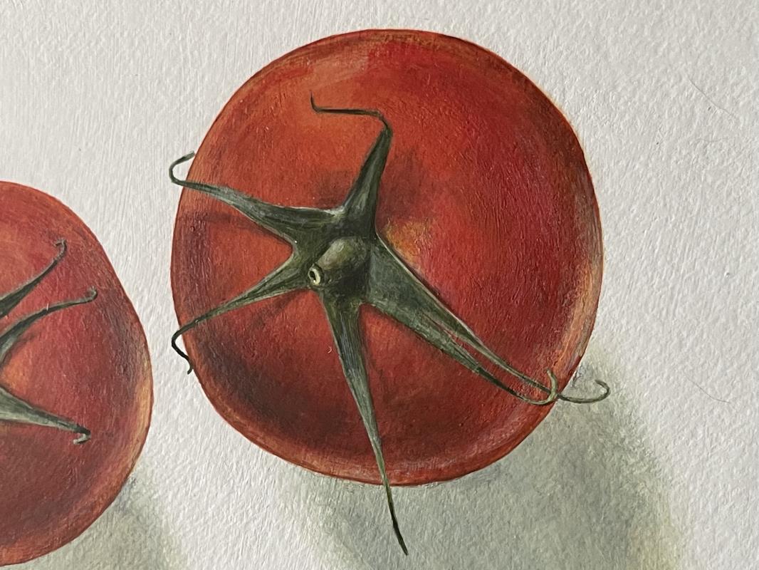 Red tomatoes 
