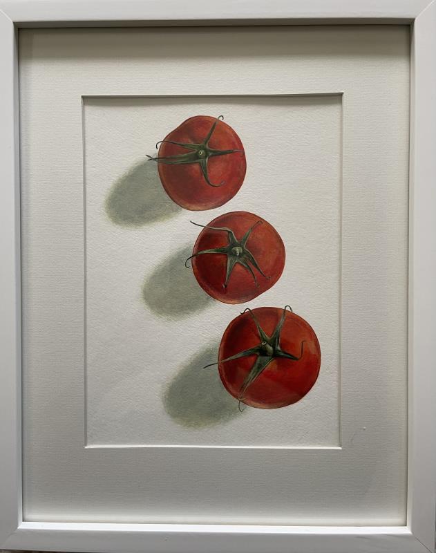 Red tomatoes 