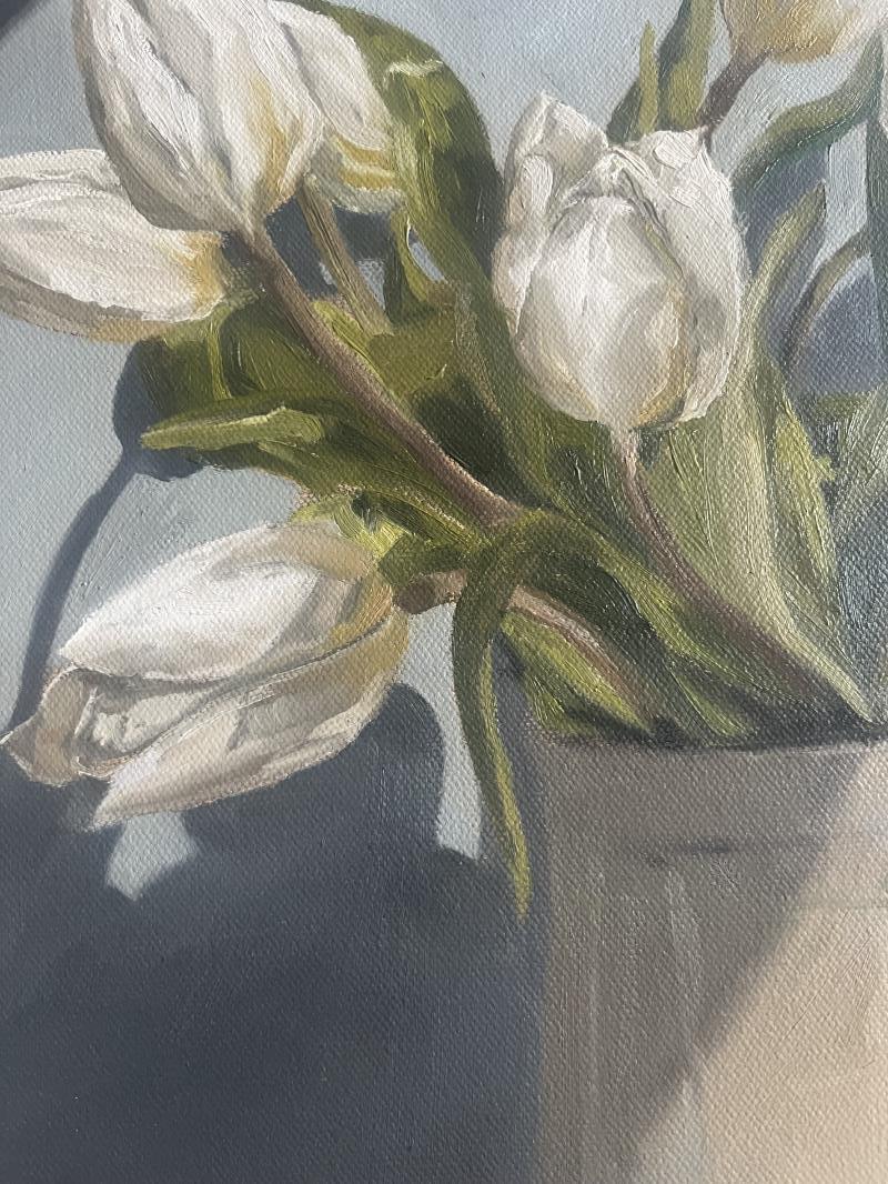 Tulips in the morning light