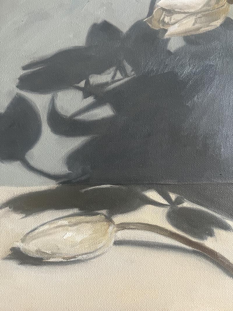 Tulips in the morning light