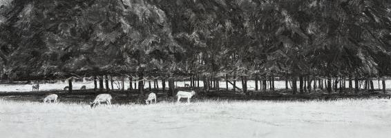 Sheep at Shottesbrooke