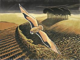 The Owl and the Trees