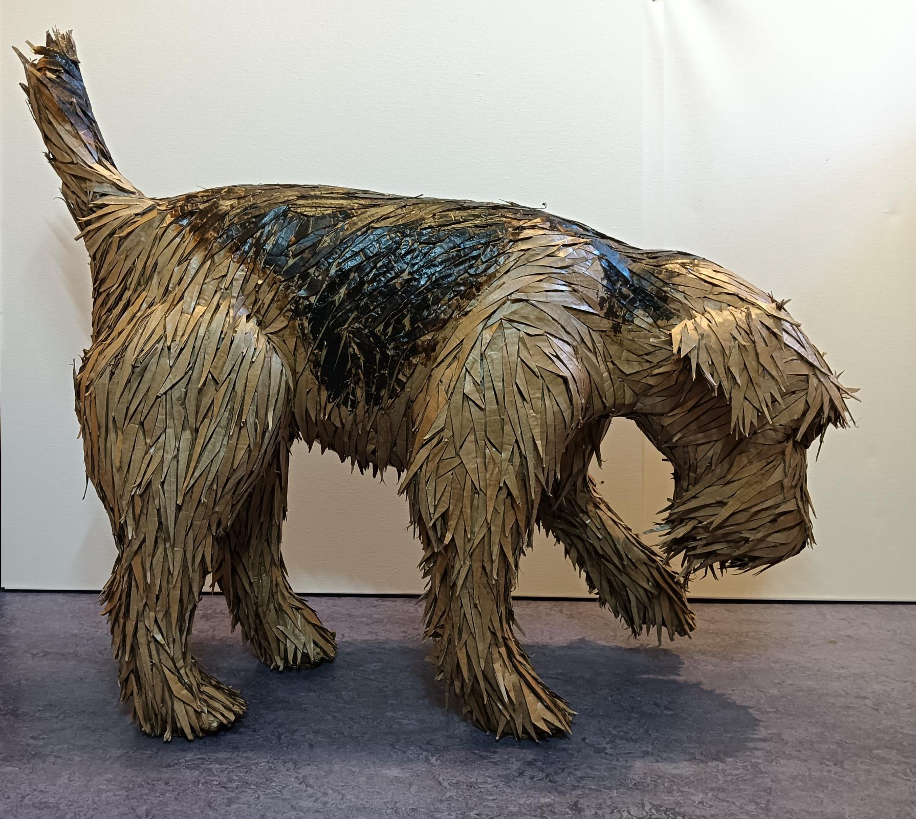 On a Mission from Dog