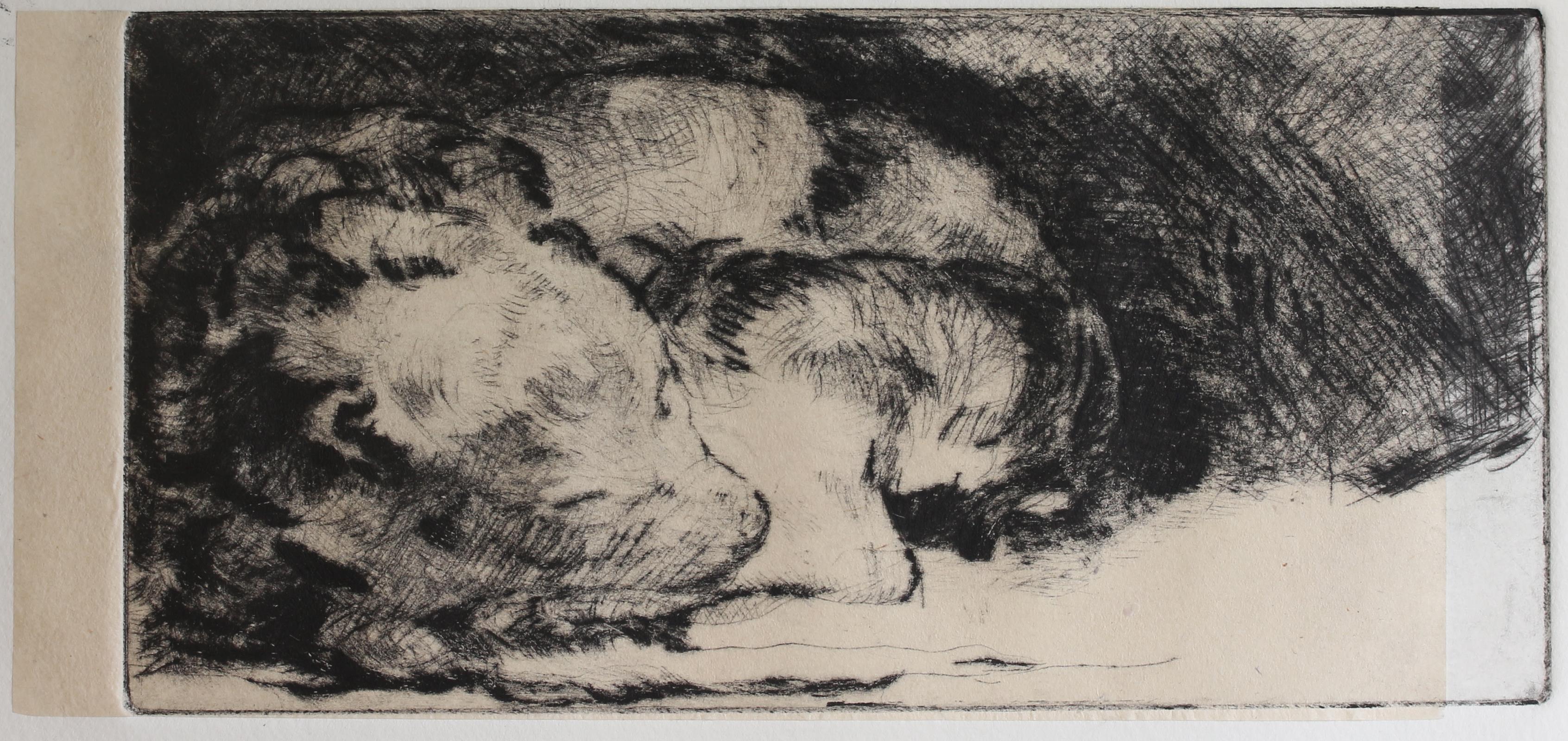 Rembrandt's Best Friend