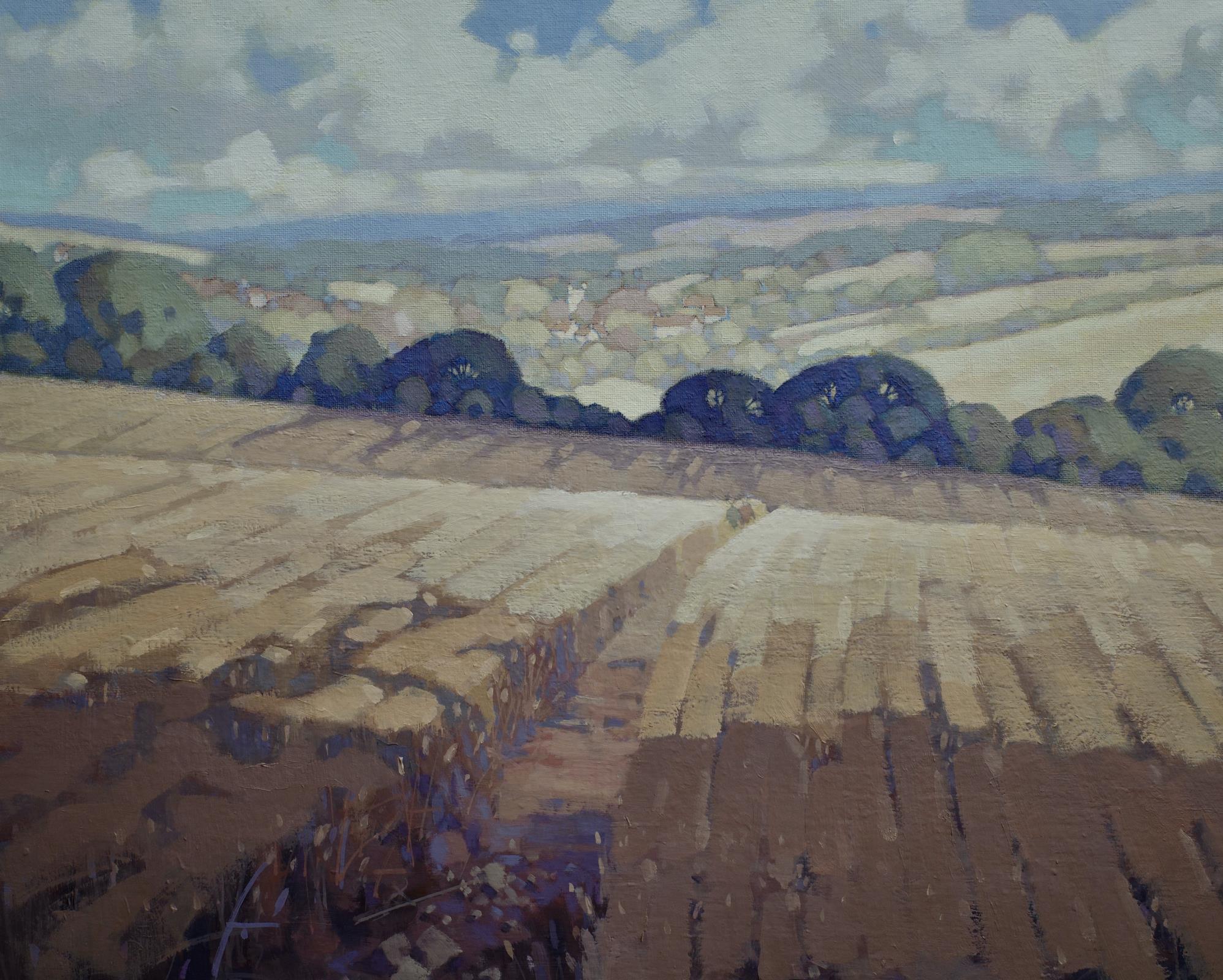 Dunkerton from Withyditch