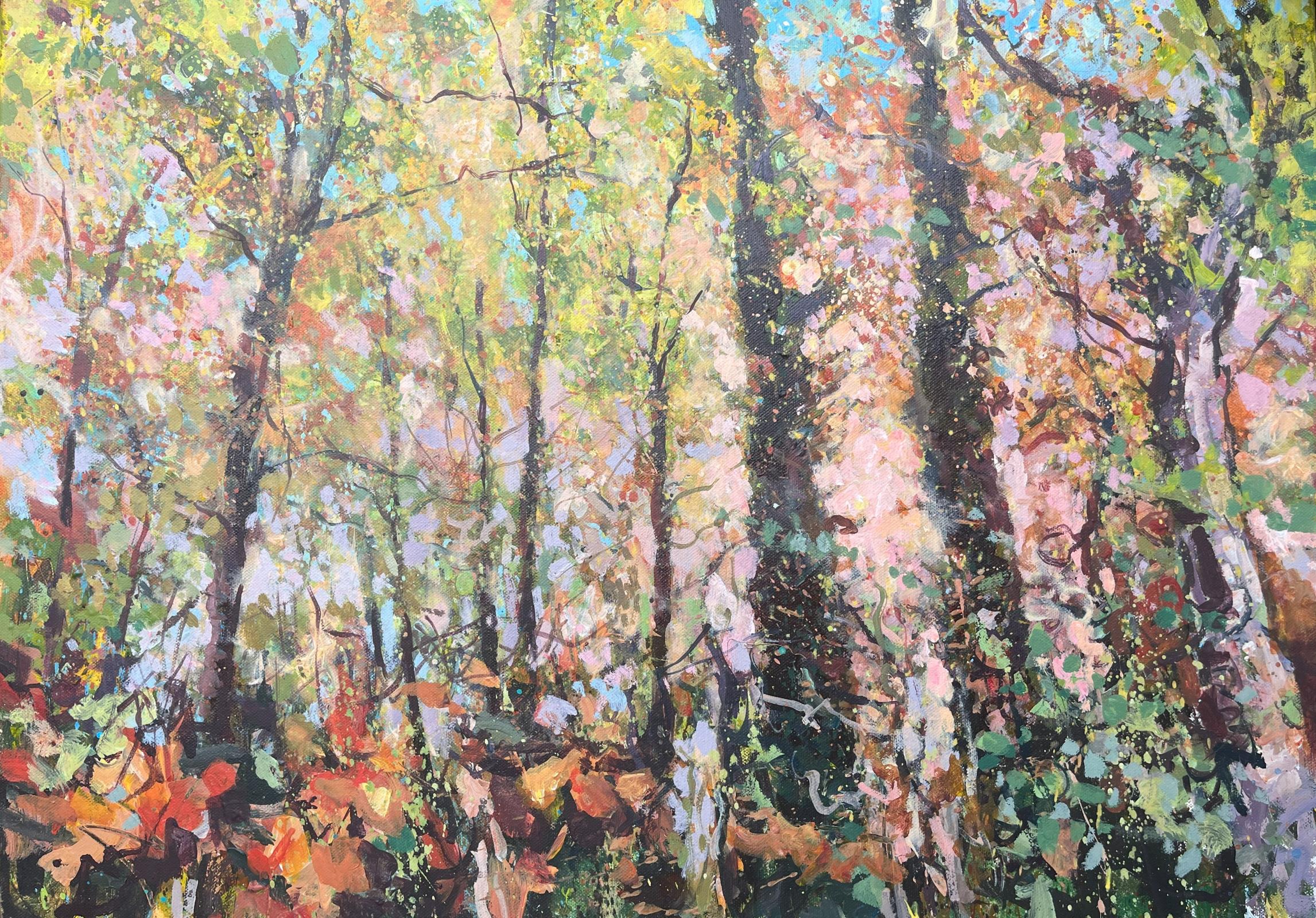 Cossington woodland. Autumn 2024.