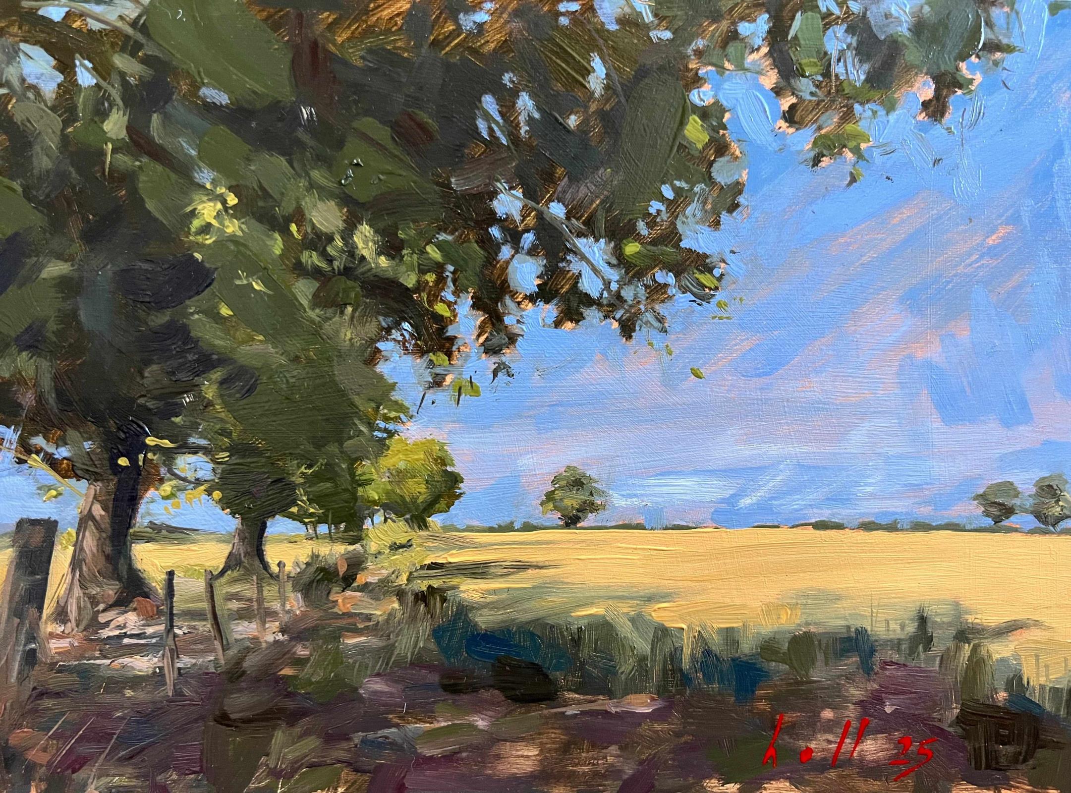 Midday fields in Warwickshire