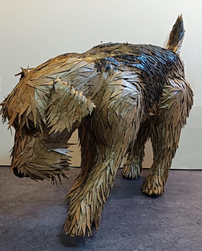 On a Mission from Dog