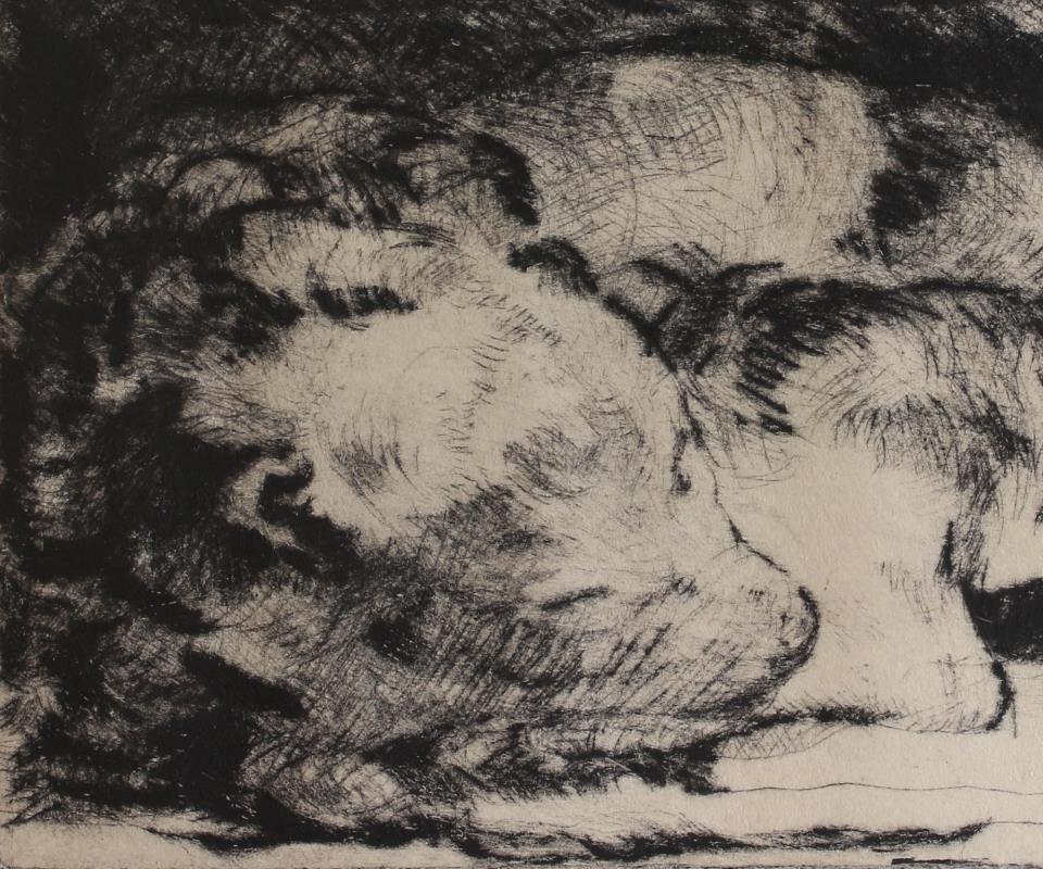 Rembrandt's Best Friend