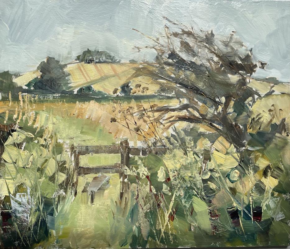 Sedge and wind blown hawthorn