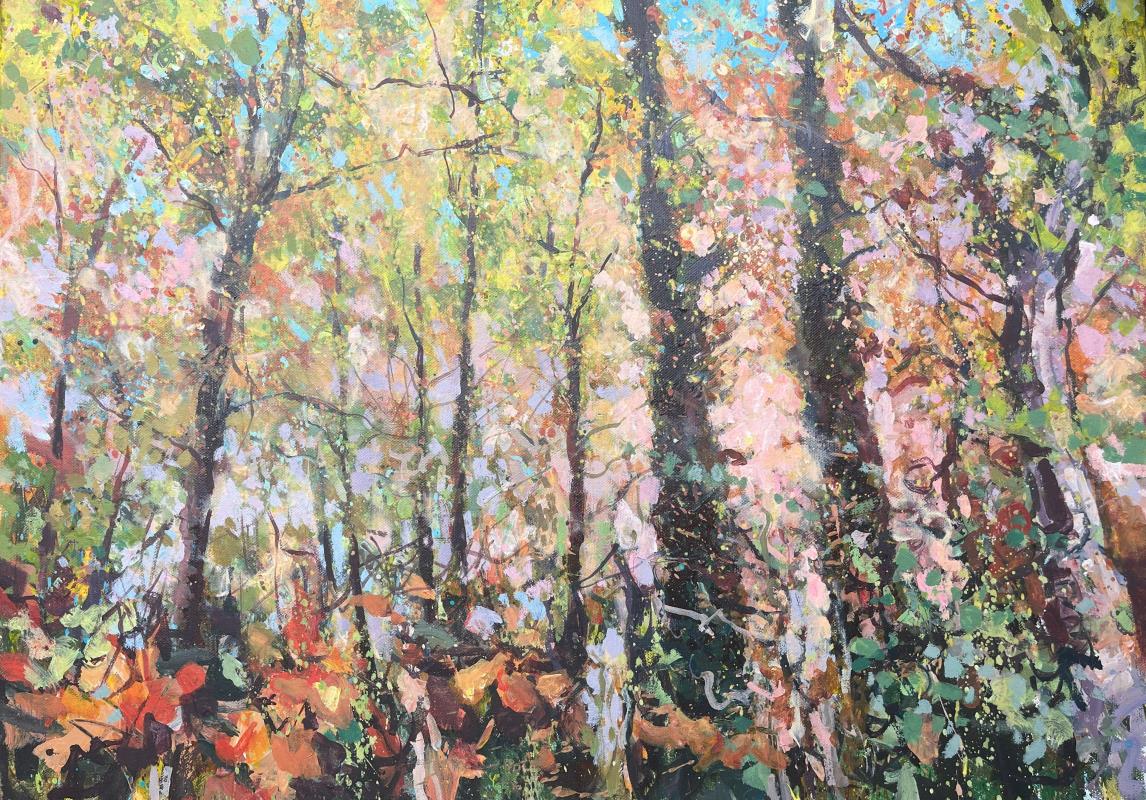 Cossington woodland. Autumn 2024.