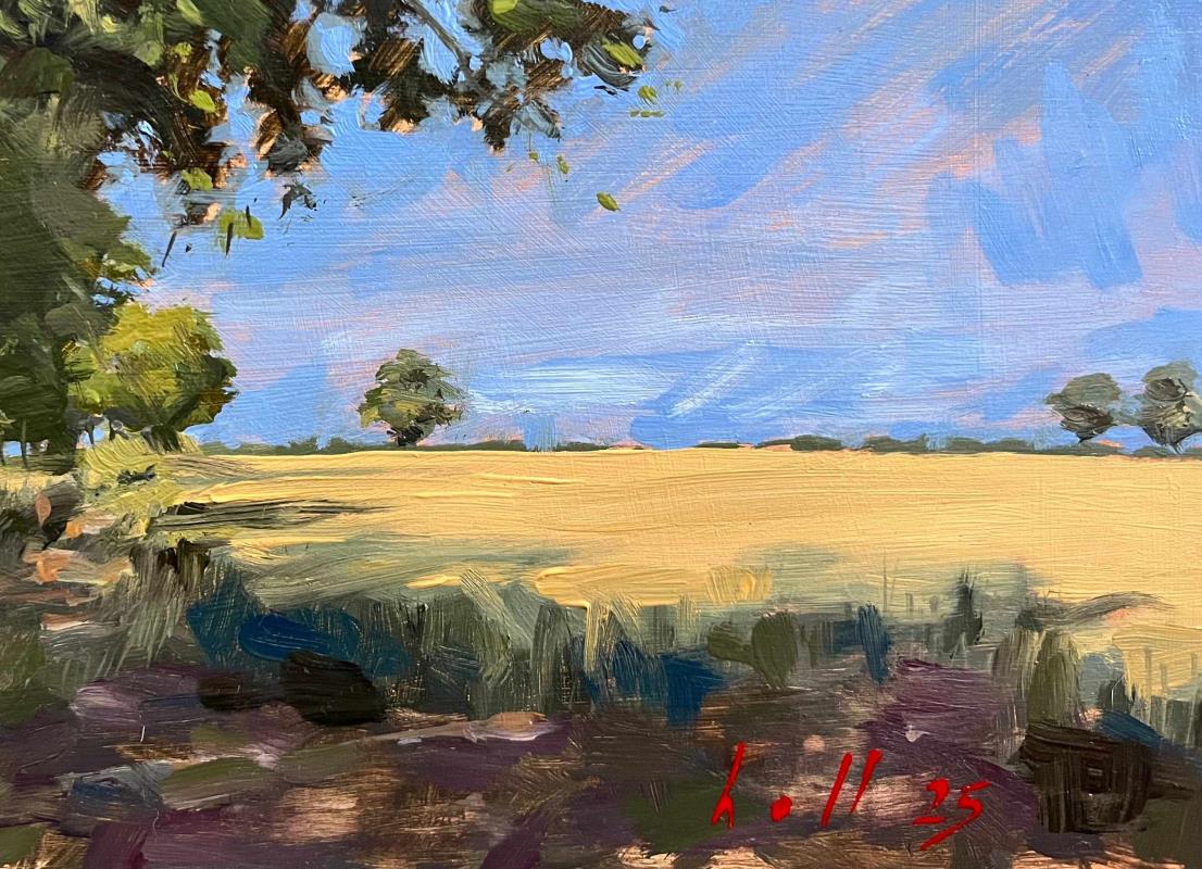 Midday fields in Warwickshire