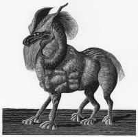 Text Prompt: A General History of Quadrupeds V