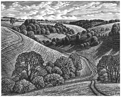 Chalk Paths, Malacombe Bottom