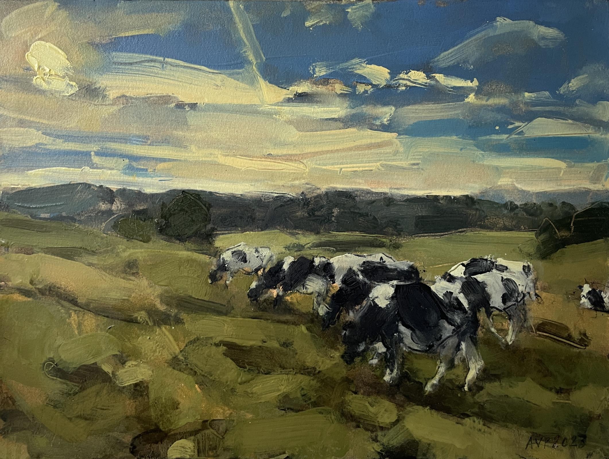 Somerset cows, early morning, July III