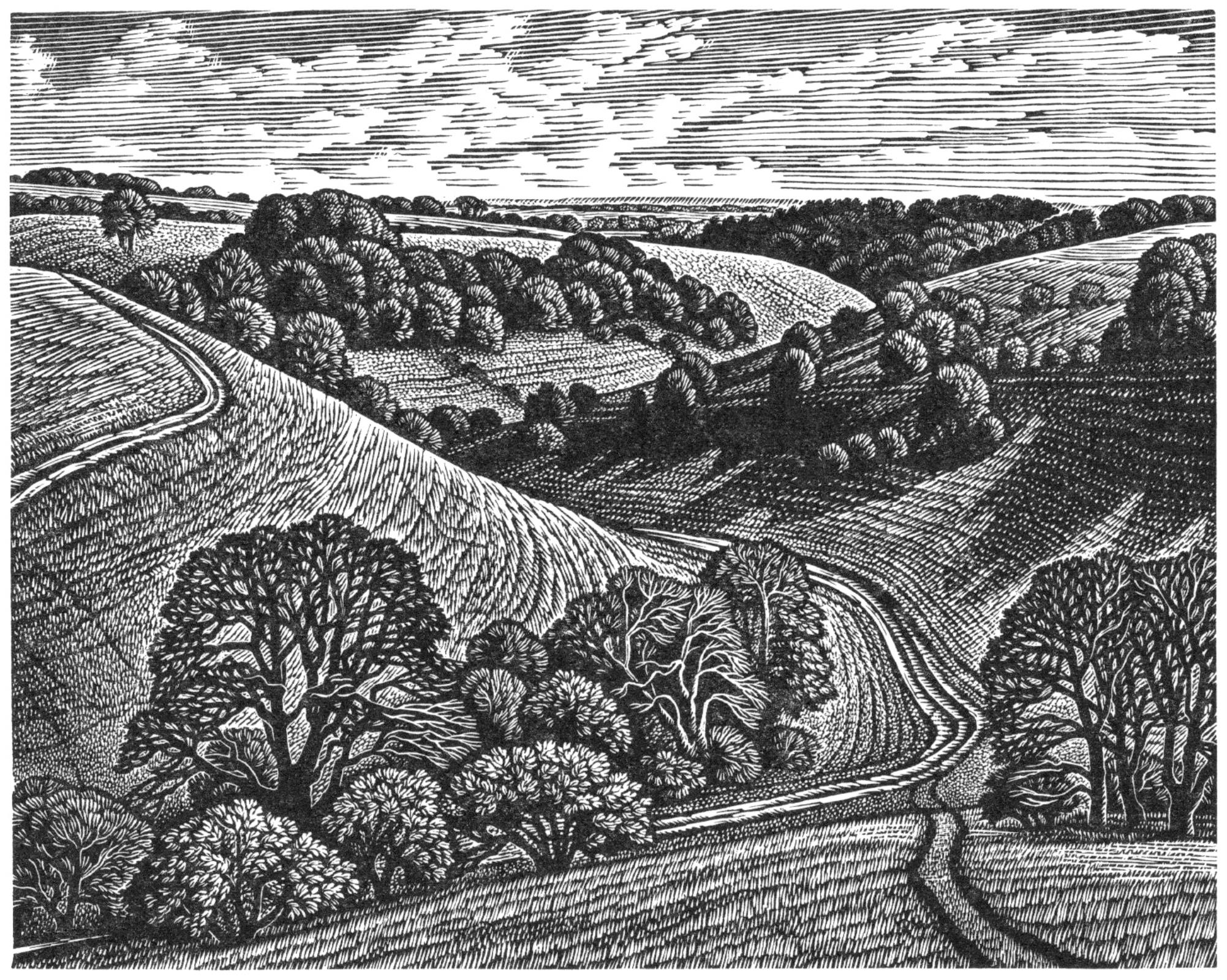 Chalk Paths, Malacombe Bottom