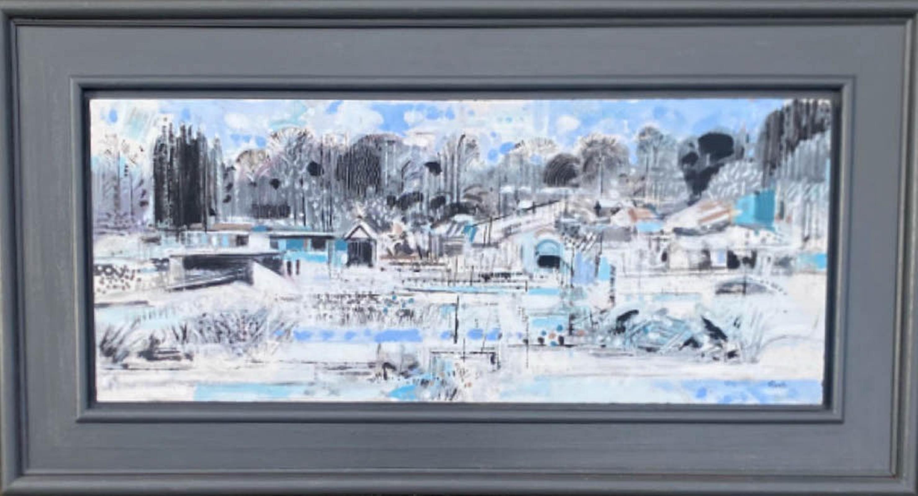 Allotments in the Snow