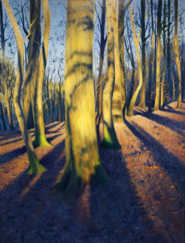 Purple shadows, yellow trees, Oldbury Court