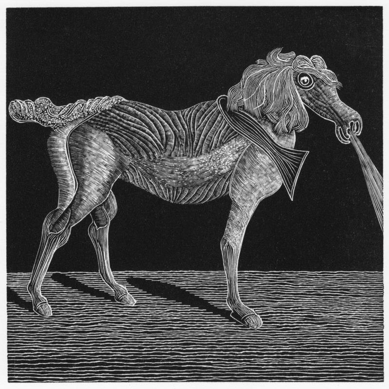 Text Prompt: A General History of Quadrupeds VI