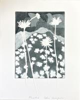 Flowerbed