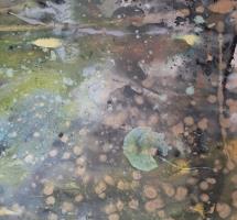 Ophelia Floats  to Live  with apologies to John Everett Millais