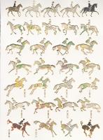Bryanston Equestrian