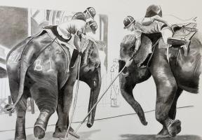 Elephant Polo