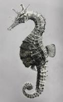 Seahorse