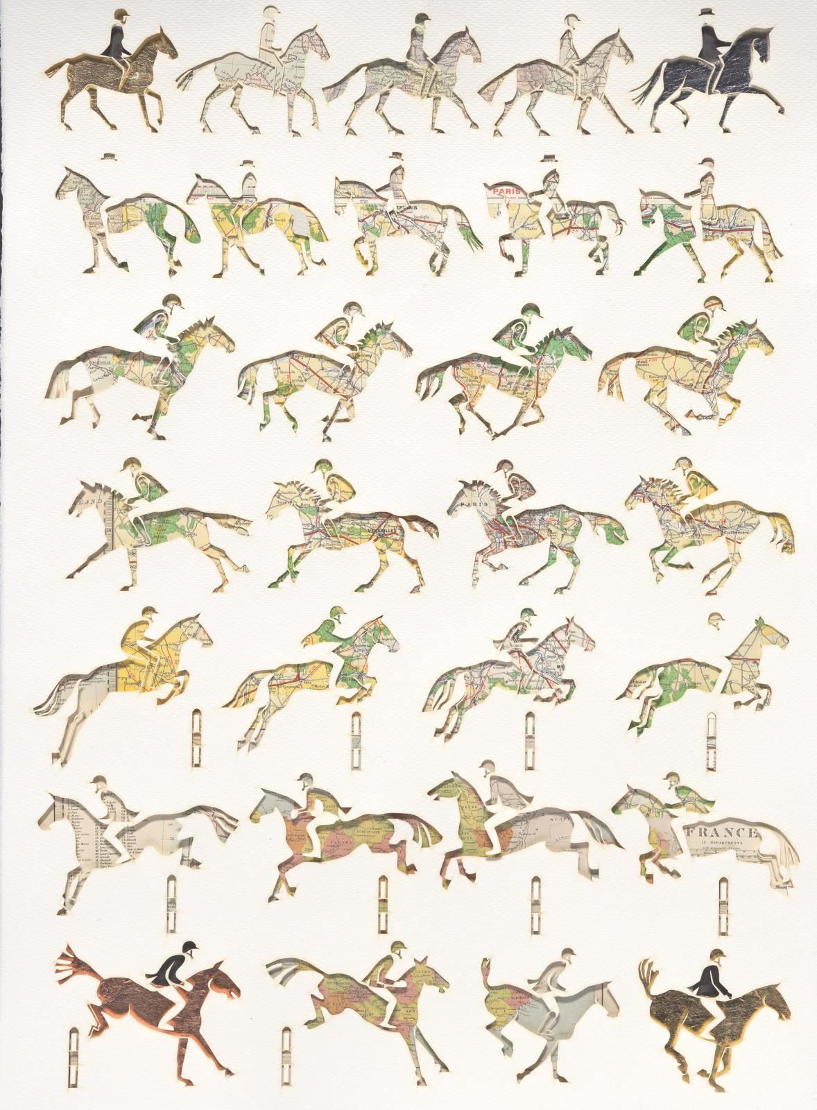 Bryanston Equestrian