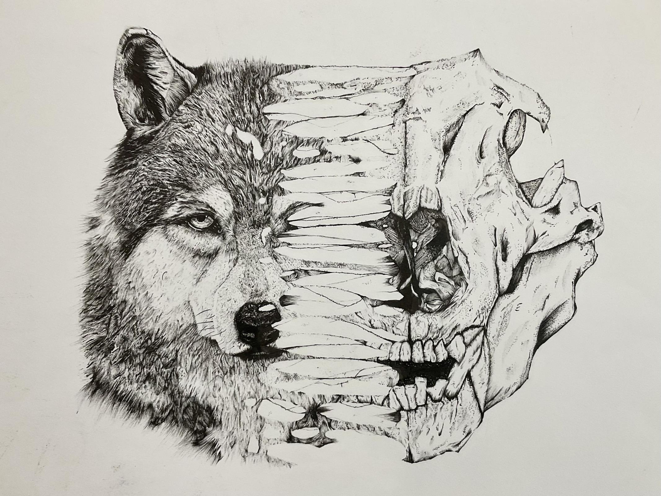 Wolf