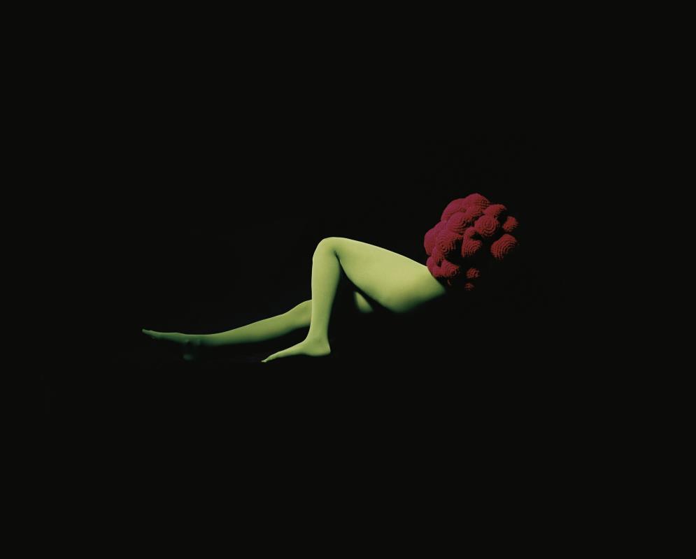 Forbidden Fruit