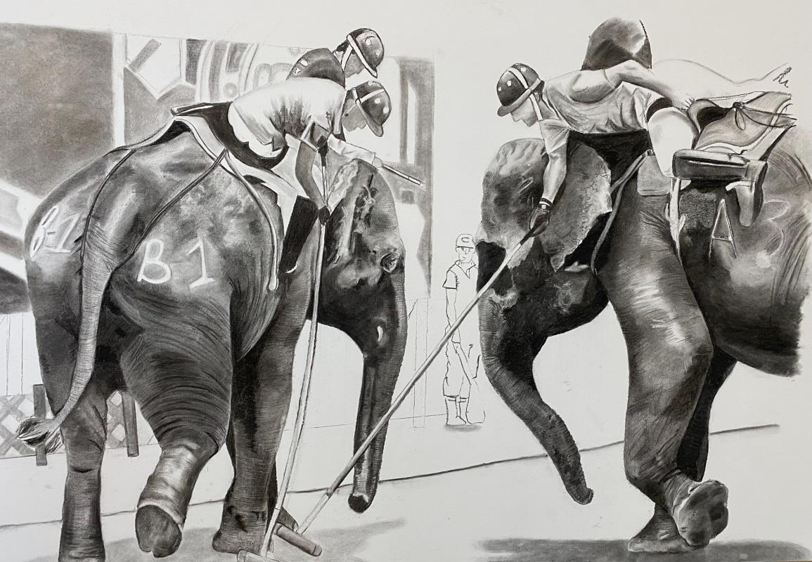 Elephant Polo