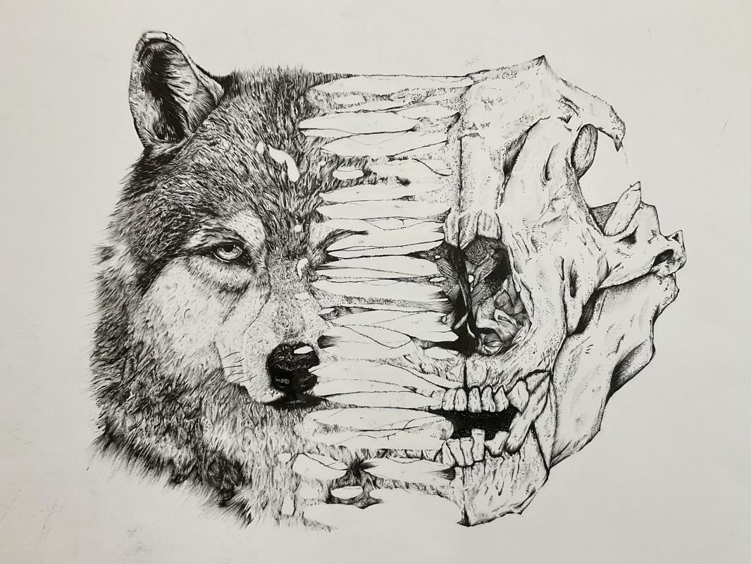 Wolf