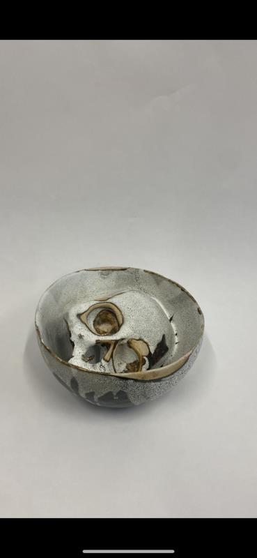 Skull In Bowl