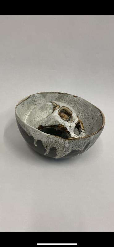 Skull In Bowl
