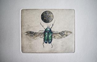 'Moondance'