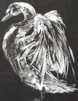 'Brigid'