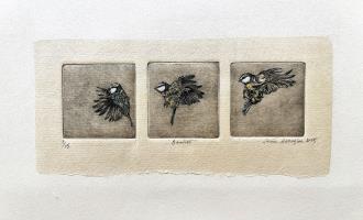 'Bandits'