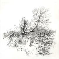 Snowfell III