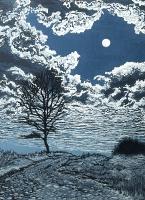 Luna Light
