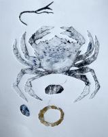 Shoreline crab 